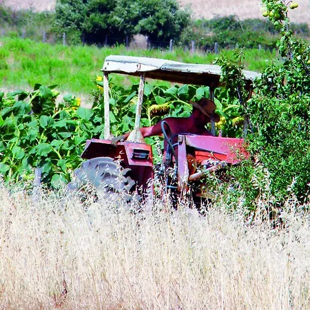 Alloggio per agriturismo La Svolta *