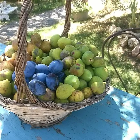 Alloggio per agriturismo La Svolta Manciano