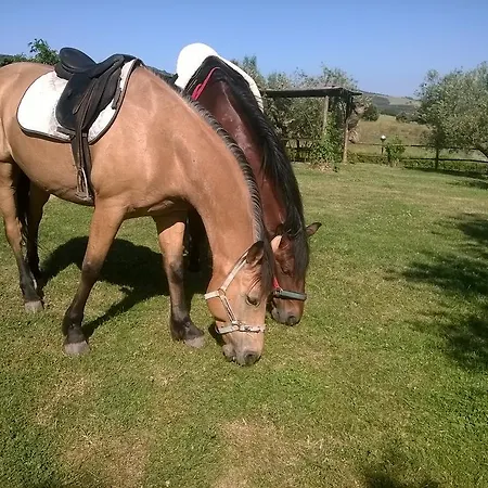 La Svolta *