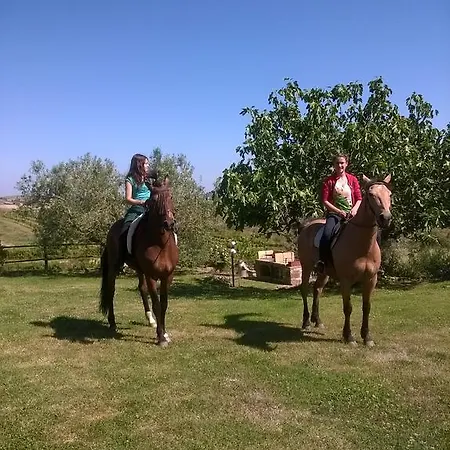 Agriturismo La Svolta * Manciano