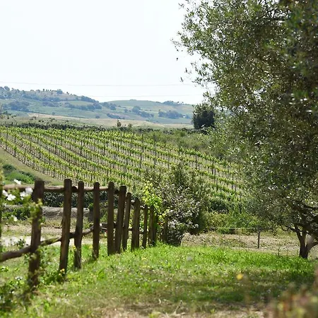 Agriturismo La Svolta Farm stay *